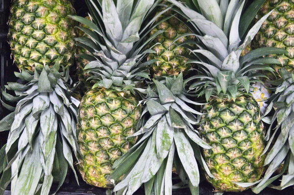 Pineapples on Display — Stock Photo, Image