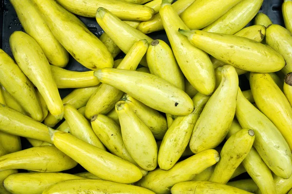 Yellow Zucchini, or courgette — Stock Photo, Image