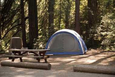 Redwood Forest Campsite