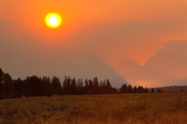 Fire on the Sky — Stock Photo, Image