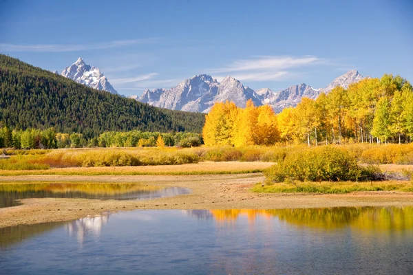 Grand tetons Güz
