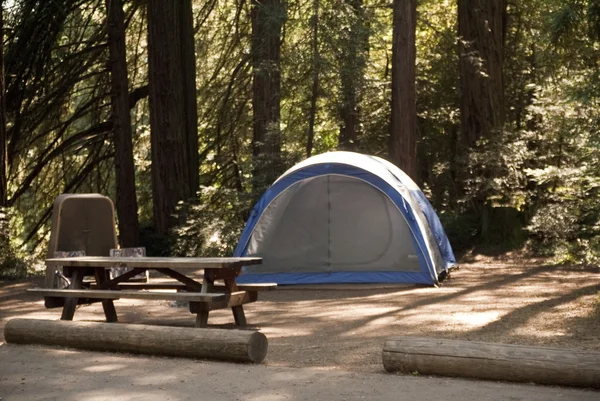 Camping Redwood Forest —  Fotos de Stock