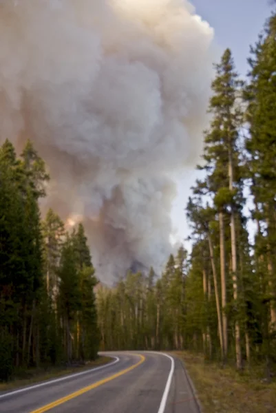 Un feu de forêt menace l'avenir — Photo