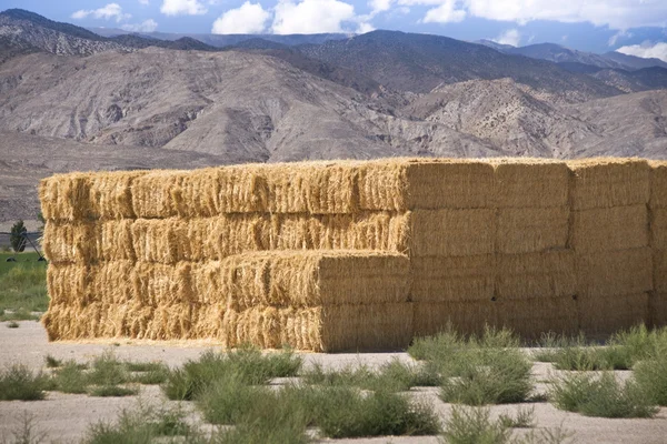 Hay Bales in the Sierras — Stock Photo, Image