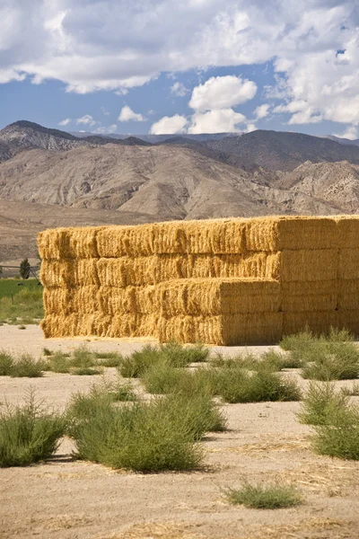 Hay Bales in the Sierras — Stock Photo, Image