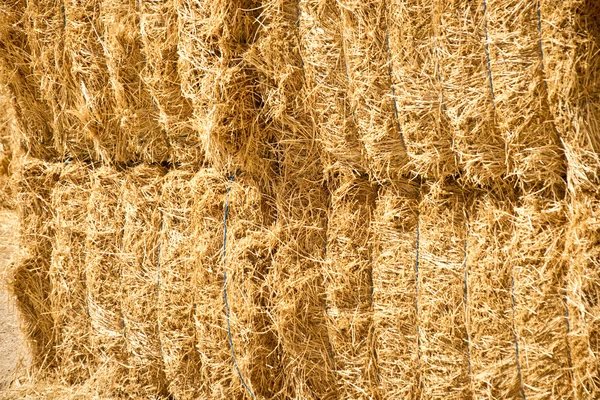 Hay Bales — Stock Photo, Image