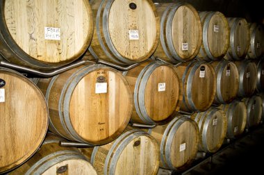 Wine Barrels at a Winery Celler clipart