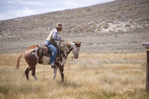 Cowboy dei giorni nostri — Foto Stock