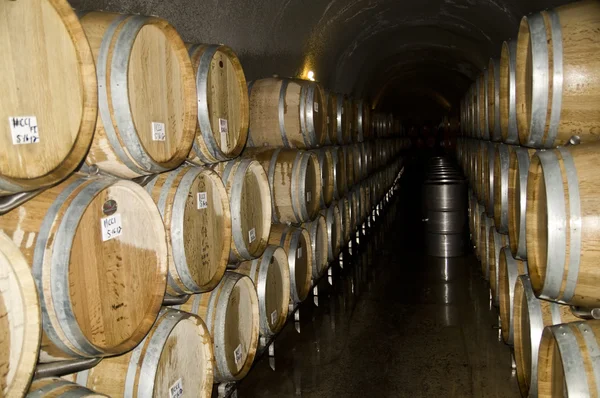 Weinfässer im Keller eines Weinguts — Stockfoto