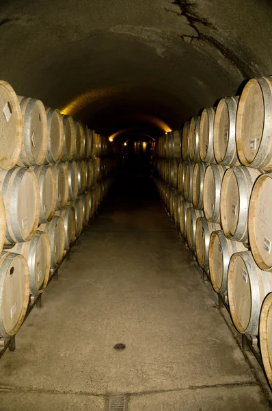 Aging Wine Barrels — Stock Photo, Image