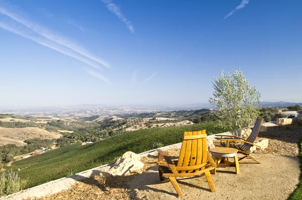 Wine Country Vista — Stock Photo, Image