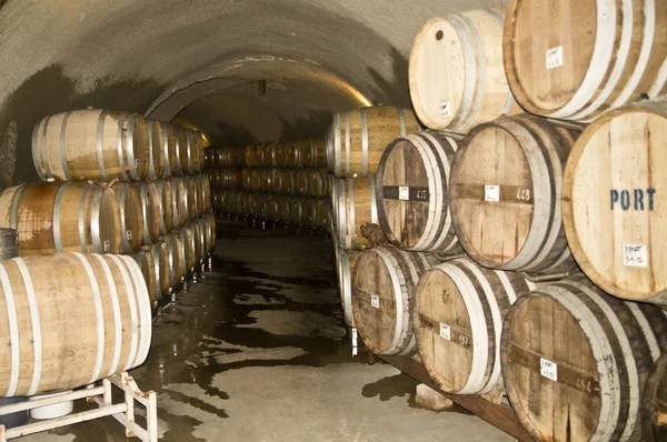 Barricas de vino en una bodega Celler — Foto de Stock