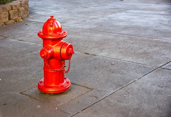 Fire Hydrant — Stock Photo, Image