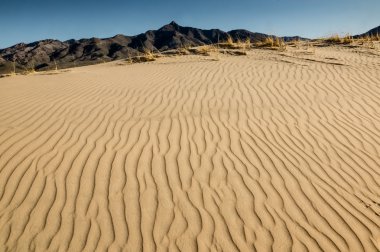 Buna karşılık Jeoloji