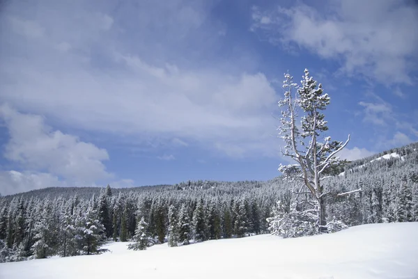 Montana Inverno Vista — Fotografia de Stock