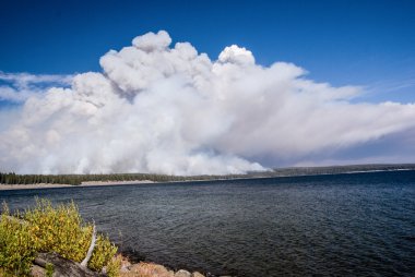 yellowstone Gölü de orman yangını