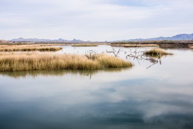 Bir çöl sulak gün batımı