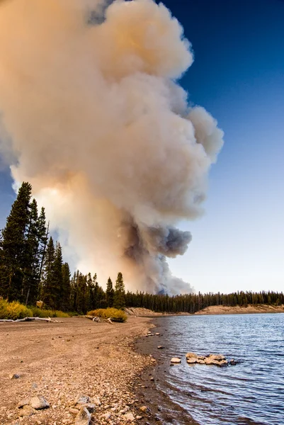 Fumée d'un feu lointain — Photo