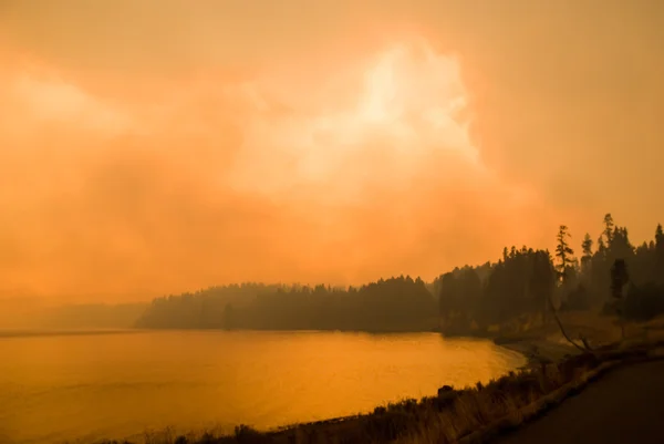 Yellowstone Firestorm — Stock Photo, Image