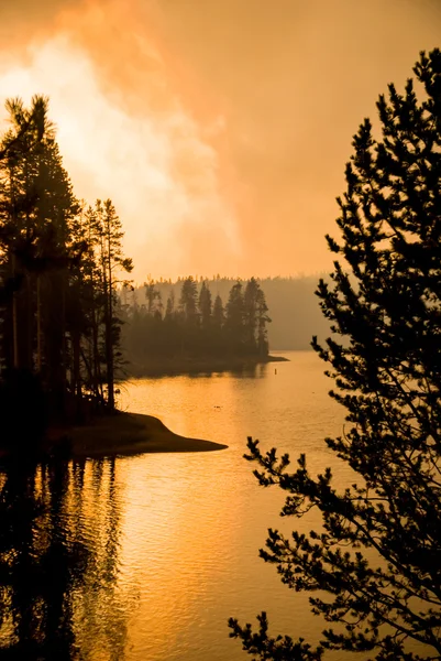 Firestrom in Yellowstone Park — Stock Photo, Image