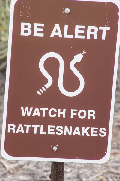 Danger Rattlesnakes — Stock Photo, Image