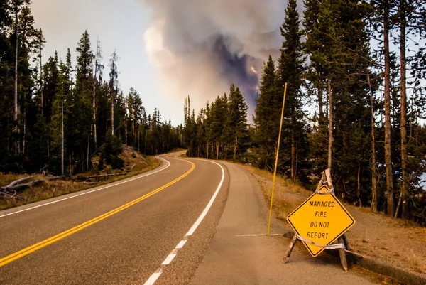 Danger d'incendie à venir — Photo