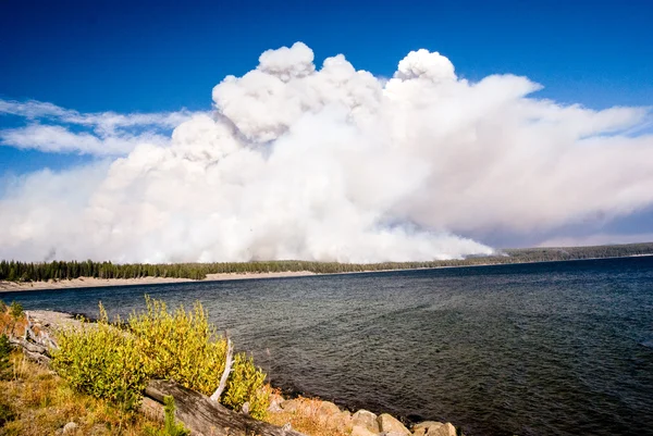 Fire Approaches Lake Yellowstone — Stock Photo, Image