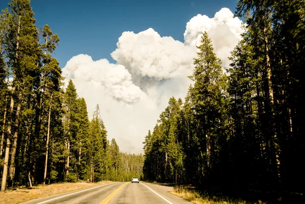 Nuages de feu de forêt imposants — Photo