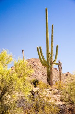 Güneybatı ikonik sahne