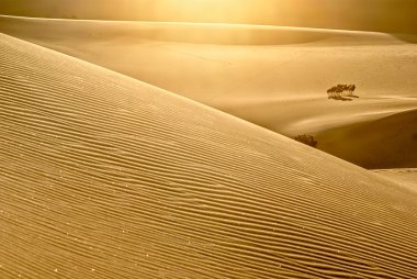 çöl dunes köpüklü