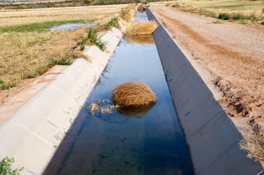 Irrigation Ditch with Desert Tumbleweeds clipart