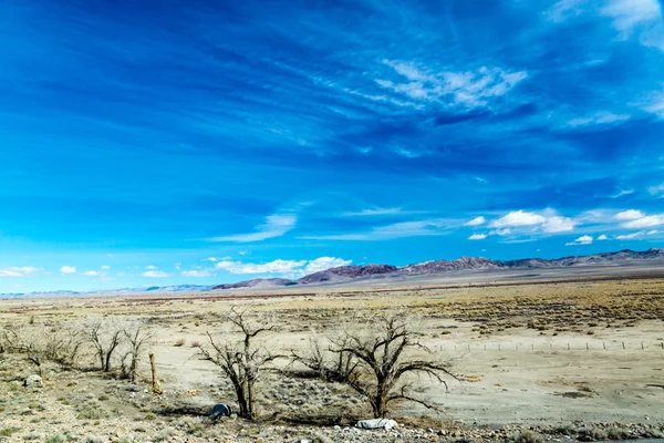 Great Basin Vista — Stock Photo, Image