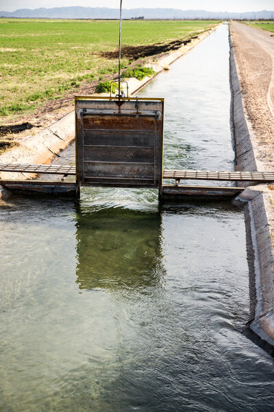 Калифорнийская оросительная канава
