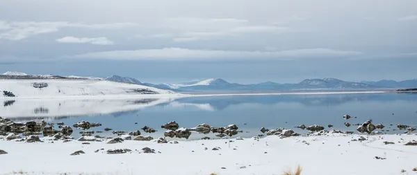 Après la tempête — Photo