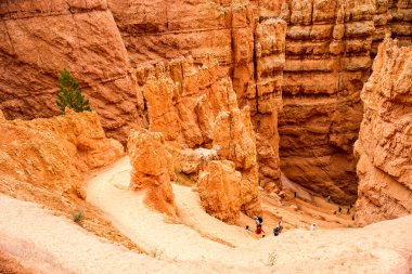 Navajo trail bryce canyon içinde döngü