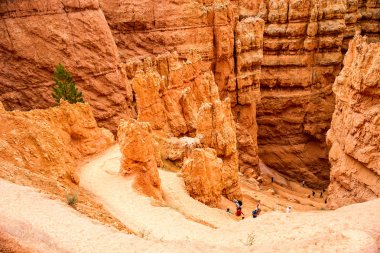 Navajo Loop Trail in Bryce Canyon clipart