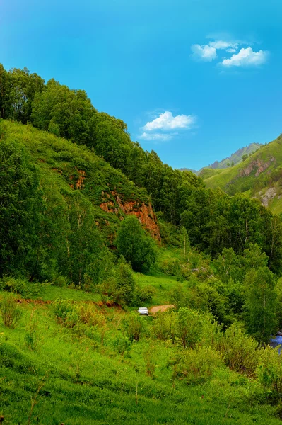 Il fiume nel distretto montano . — Foto Stock