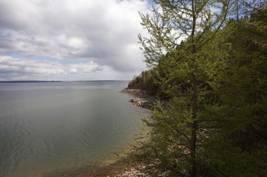 nehir dağ bölgesinde.