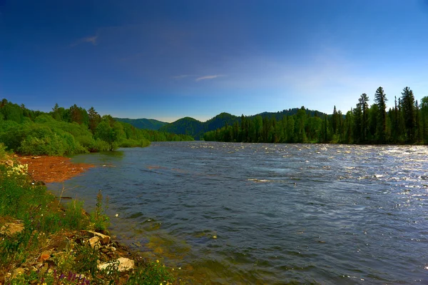 Горная река и лес — стоковое фото
