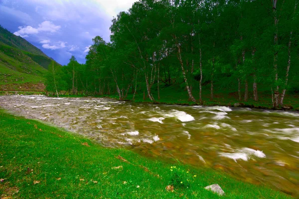 Berg flod och trä — Stockfoto