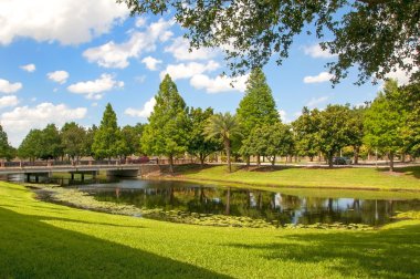 lelievijver en bridge