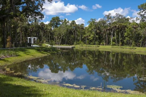 Pond — Stock Photo, Image