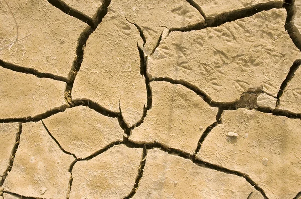 Cracks in dry soil — Stock Photo, Image