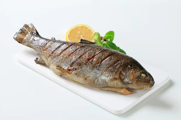 Gegrilde forel — Stockfoto