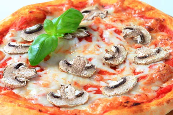 Pizza grzybów — Zdjęcie stockowe