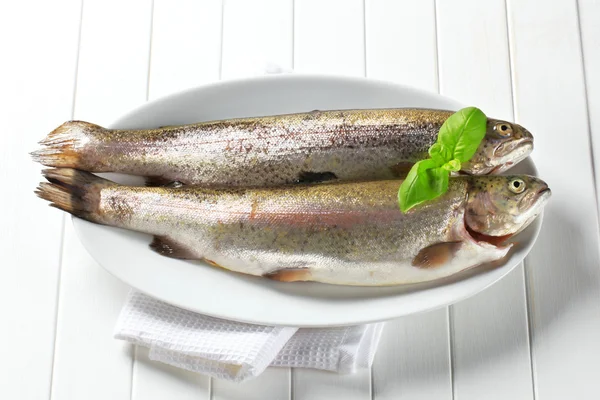 Fresh trouts — Stockfoto