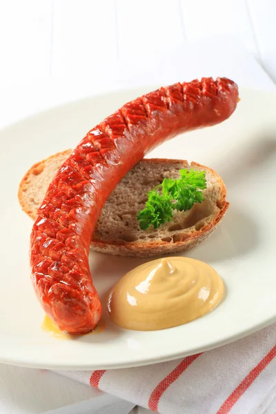 Dry spicy sausage — Stock Photo, Image