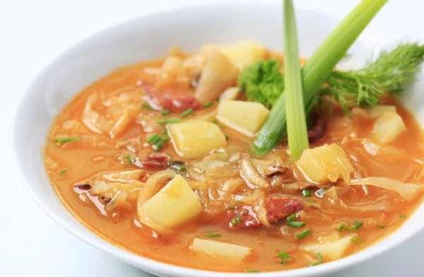 Cabbage soup — Stock Photo, Image