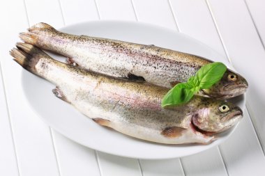 Fresh trouts