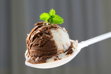 Vanilyalı çikolatalı dondurma.